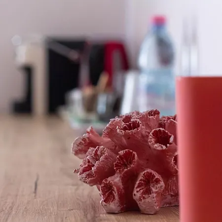 ゲストハウス Roccabianca &