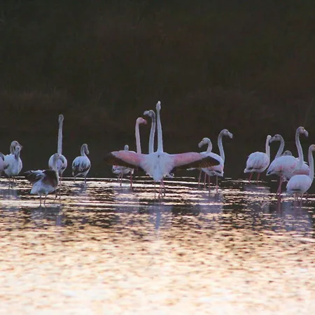 ゲストハウス Roccabianca & スティンティーノ
