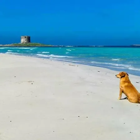 Roccabianca & ゲストハウス 3*