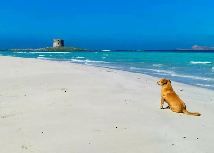 Roccabianca & Konukevi 3*