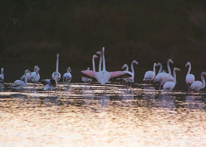Pensionat Roccabianca & Stintino